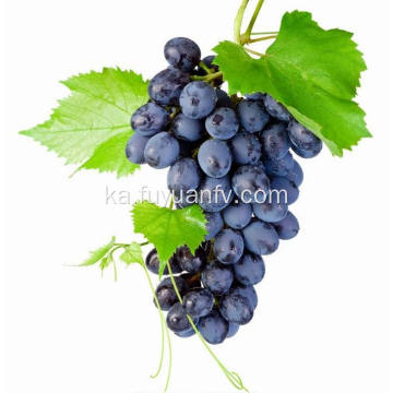 საუკეთესო ექსპორტის კლასის ახალი წითელი ყურძენი